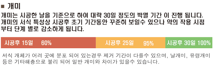 개미